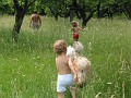 20110606_Aqua_si_CS 056